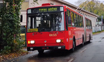 Chcete si kúpiť trolejbus za 2 tisíc eur? Za ľudové ceny ponúkajú aj električku či fekálne vozidlo