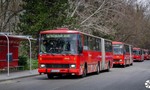 Chcete si kúpiť povestnú Karosu? Veľký výpredaj autobusov od 800 eur!