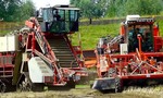 Ako z iného sveta. Prací kombajn na tulipánové cibuľky je fascinujúci stroj (video)