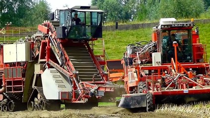 AKO Z INÉHO SVETA. PRACÍ KOMBAJN NA TULIPÁNOVÉ CIBUĽKY JE FASCINUJÚCI STROJ (VIDEO)