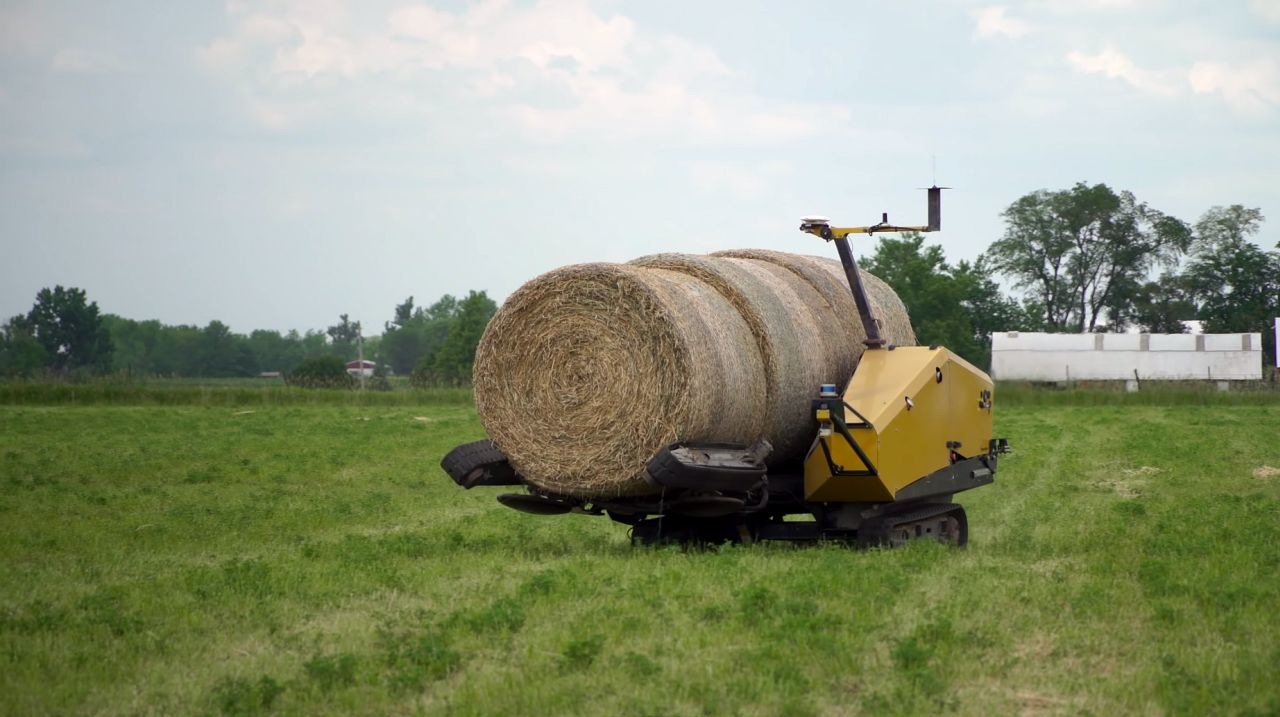 Vermeer Bale Hawk