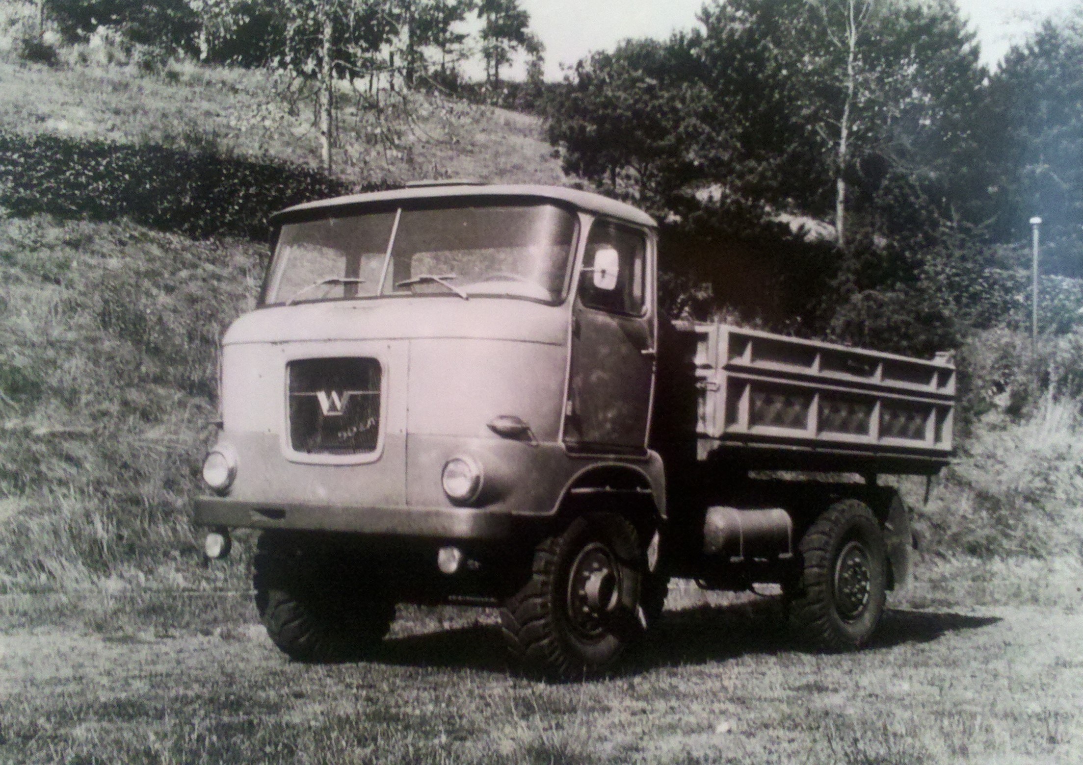 IFA W50